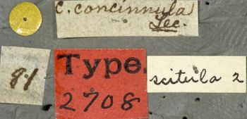Media type: image;   Entomology 2708 Aspect: labels